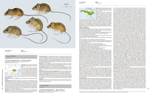 Handbook of the Mammals of the World no 7 - Rodents II -  Lynx 2017